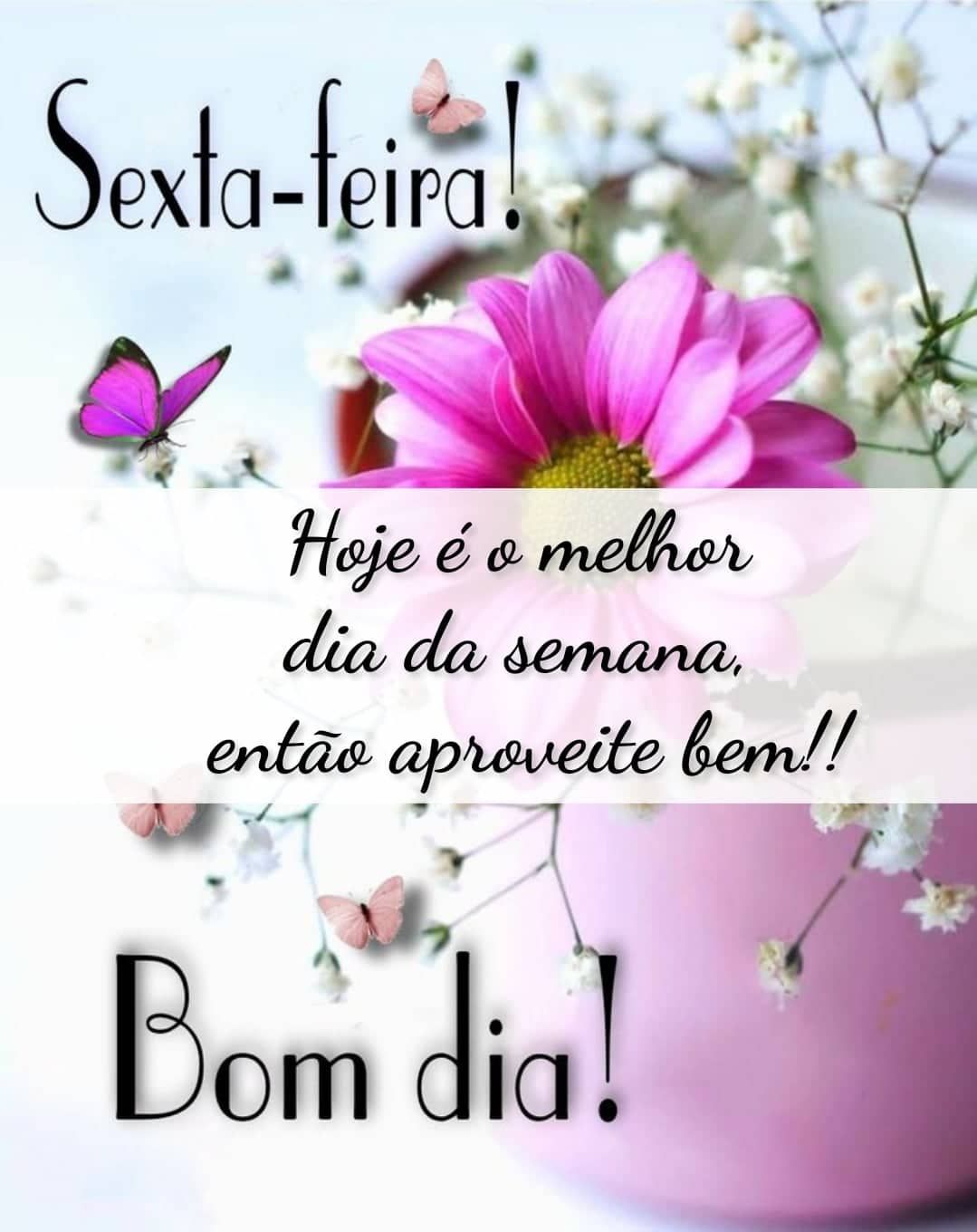 Bom dia sexta feira aproveite o melhor dia da semana