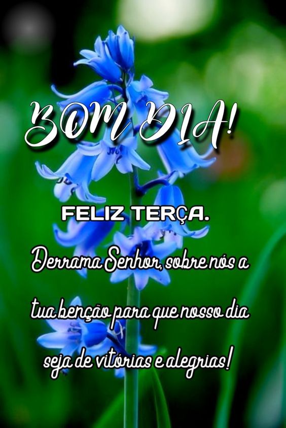 Bom dia terça feira com alegria