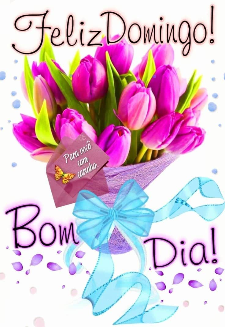 Feliz domingo para você com carinho bom dia