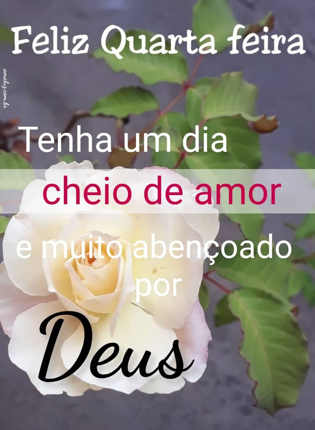 Feliz quarta feira tenha um bom dia