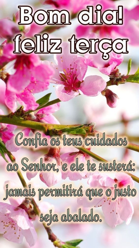 Feliz terça, confia no Senhor e tenha um bom dia