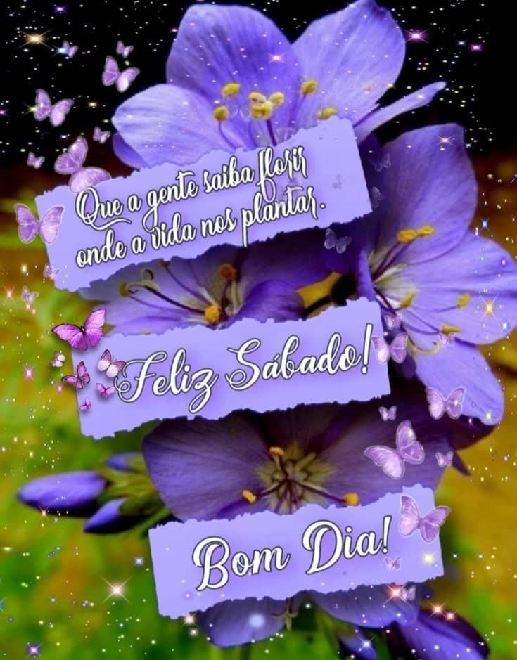 Imagens com flores e feliz sábado com bom dia