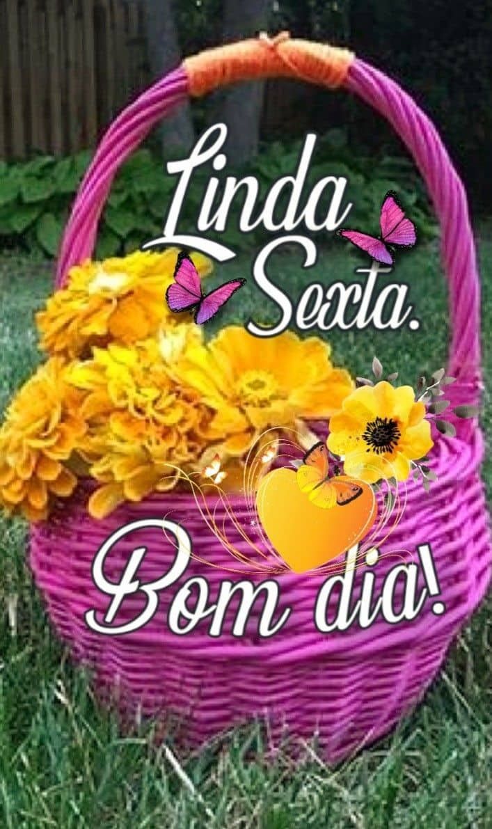 Linda sexta feira! Bom dia a todos.