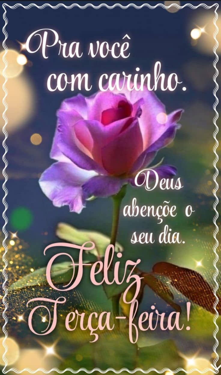 Mensagens de bom dia terça feira com carinho incondicional