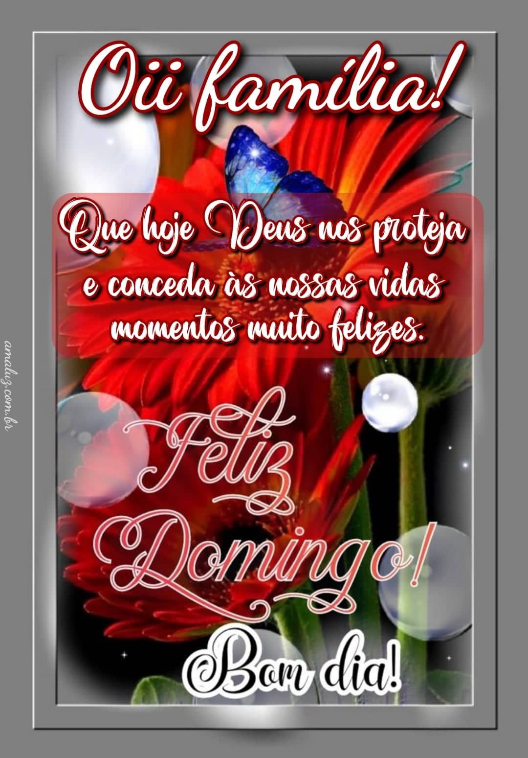 Oi família bom dia feliz domingo