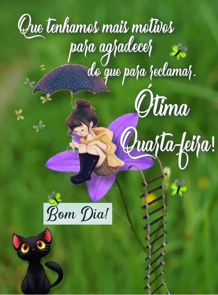 Ótima quarta feira