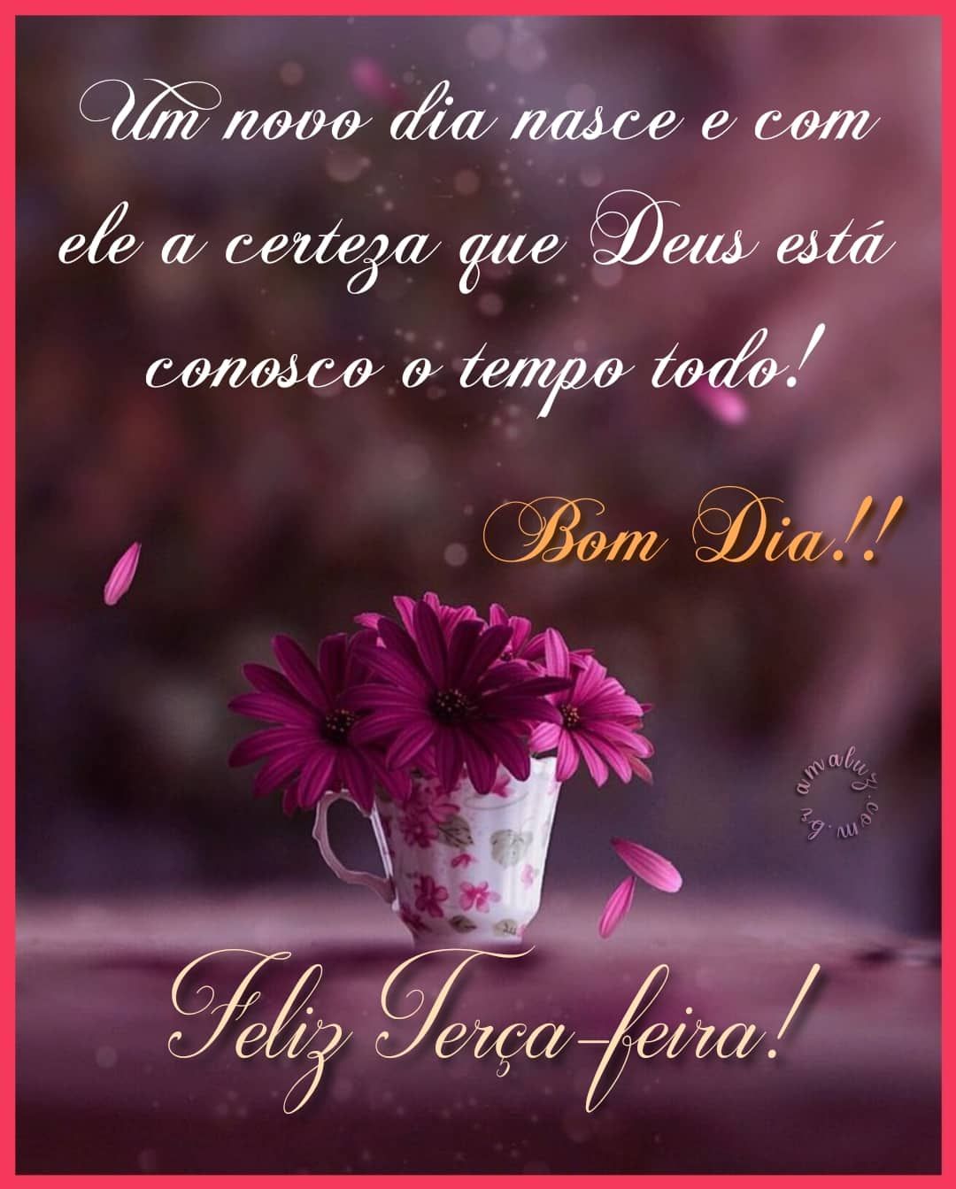 Passando para deixar meu desejo de bom dia e feliz terça feira