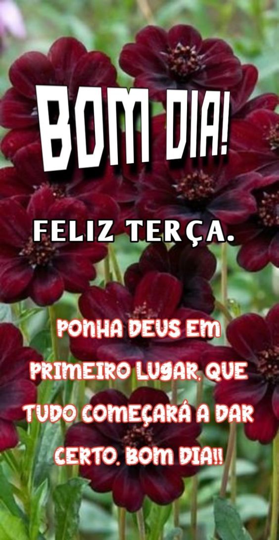 25 Imagens de Terça-Feira para Whatsapp que Vão animar a Manhã 25 Imagens de Terça-Feira para Whatsapp que Vão animar a Manhã