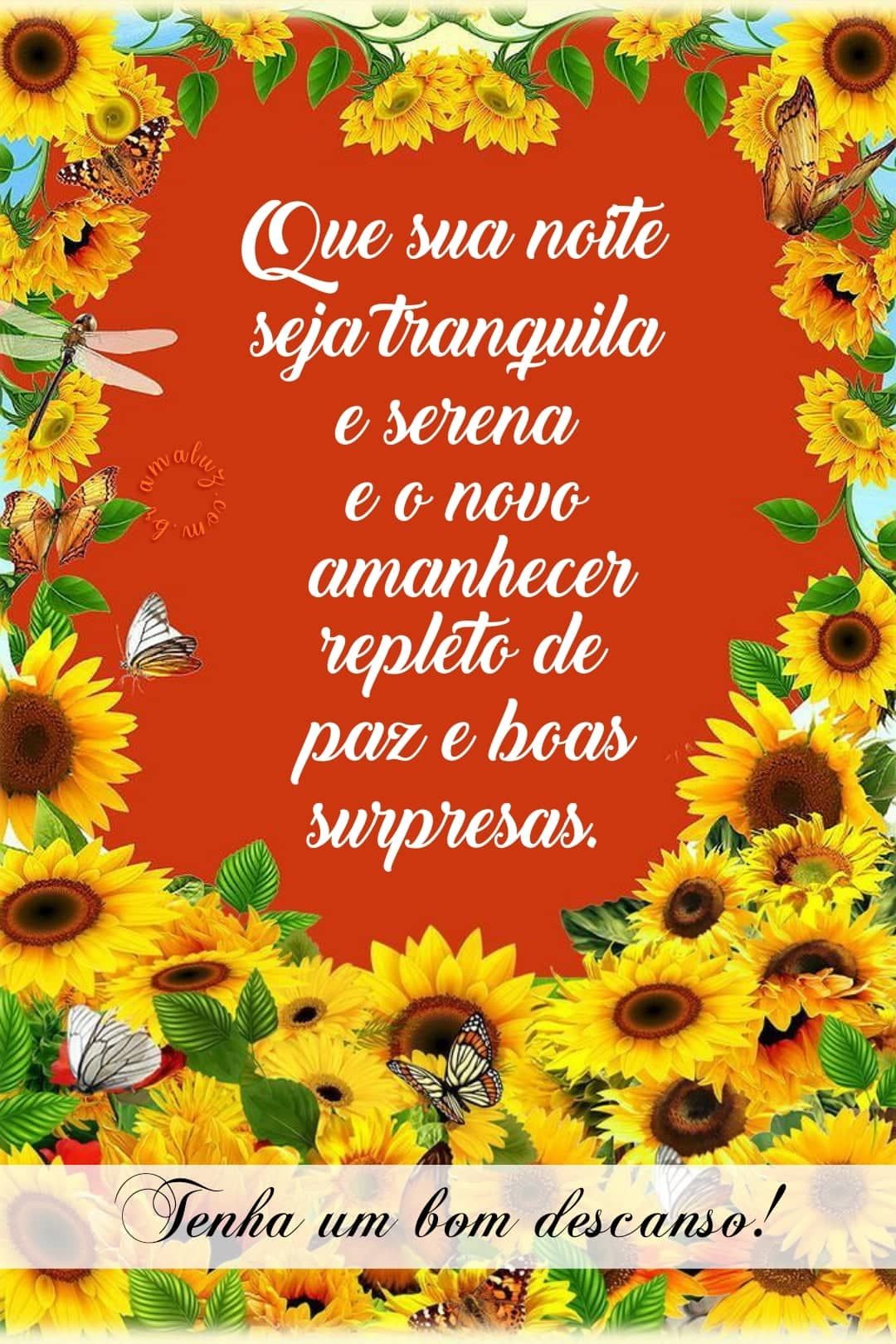 Que sua noite seja tranquila e serena