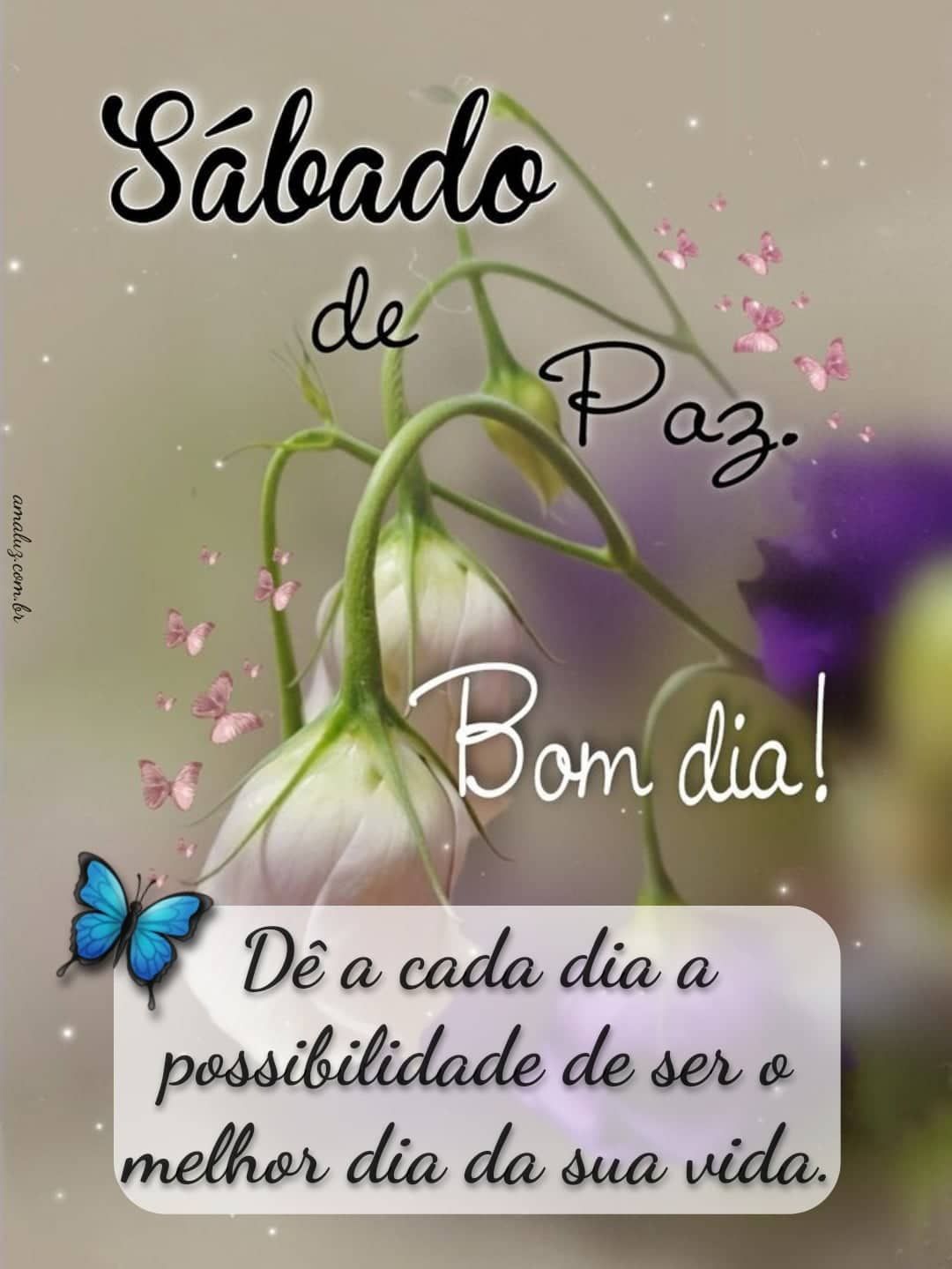 Sábado de paz e alegria bom dia