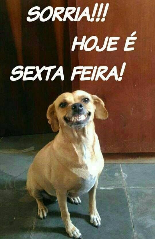 Sorria hoje é sexta feira
