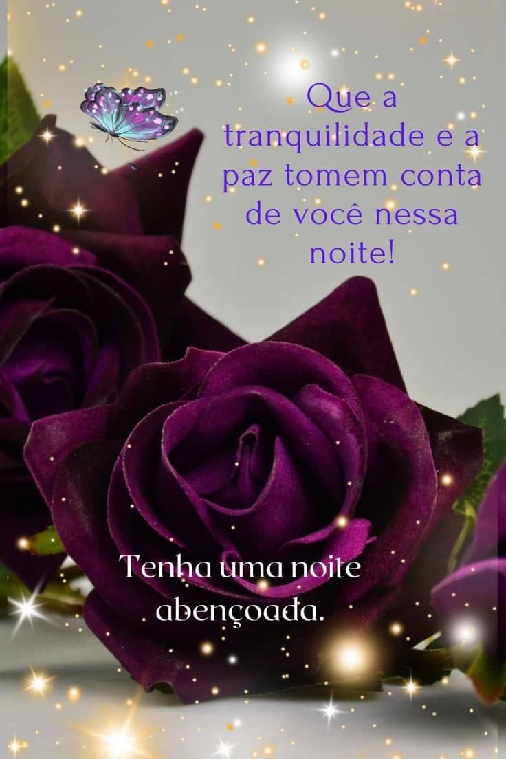 Tenha uma boa noite abençoada