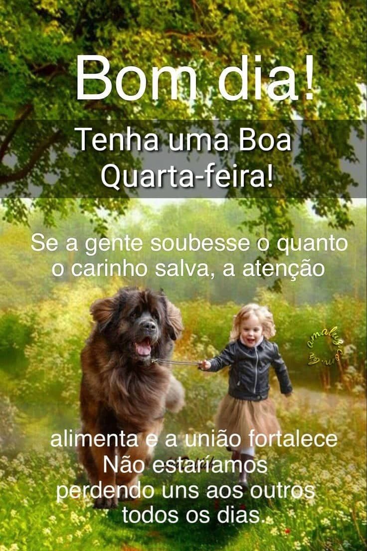 Tenha uma boa quarta feira bom dia