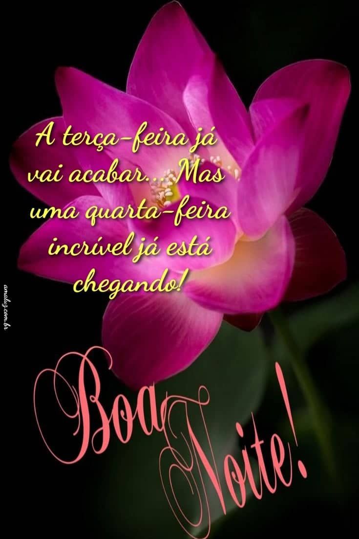 Terça feira já vai acabar