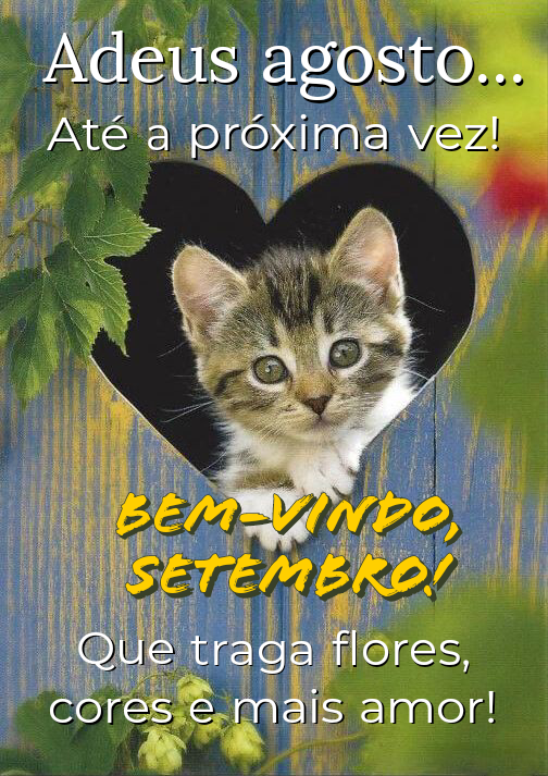 Adeus agosto seja bem vindo setembro