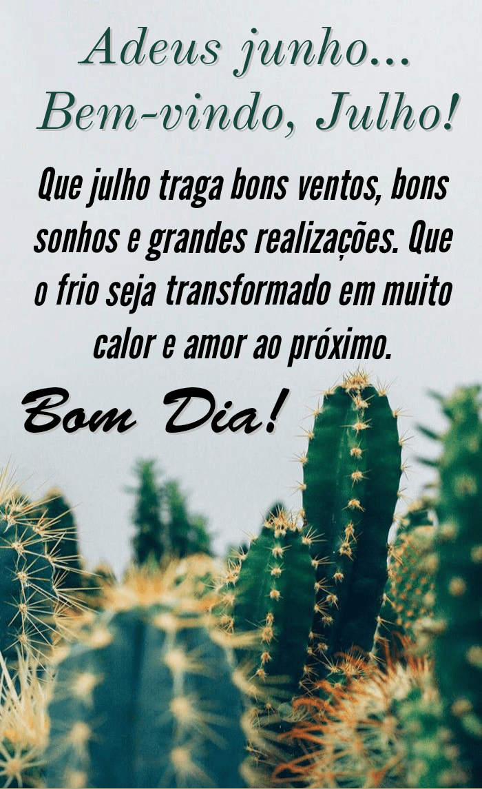 Adeus junho seja bem vindo julho