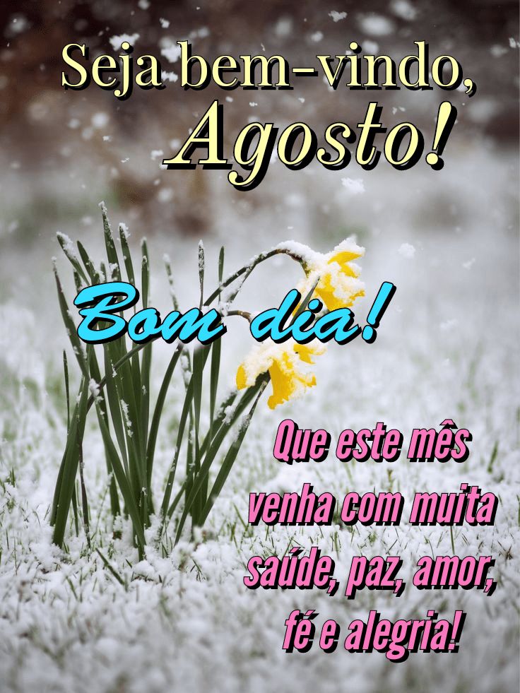 Seja Bem Vindo Agosto - Mensagens de Bom dia  Seja bem vindo agosto, Bem  vindo agosto, Mensagens de bom dia