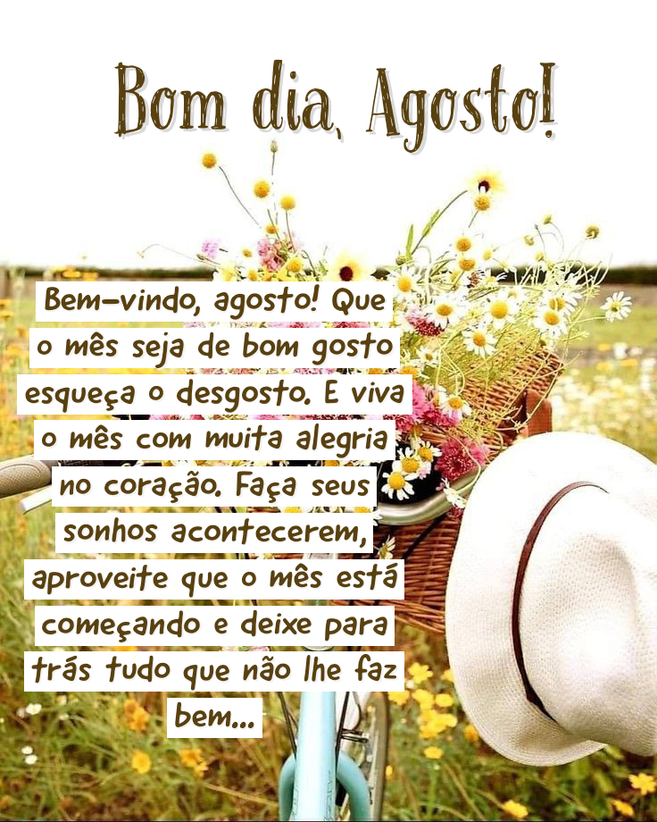 bom dia o dia 1 de agosto