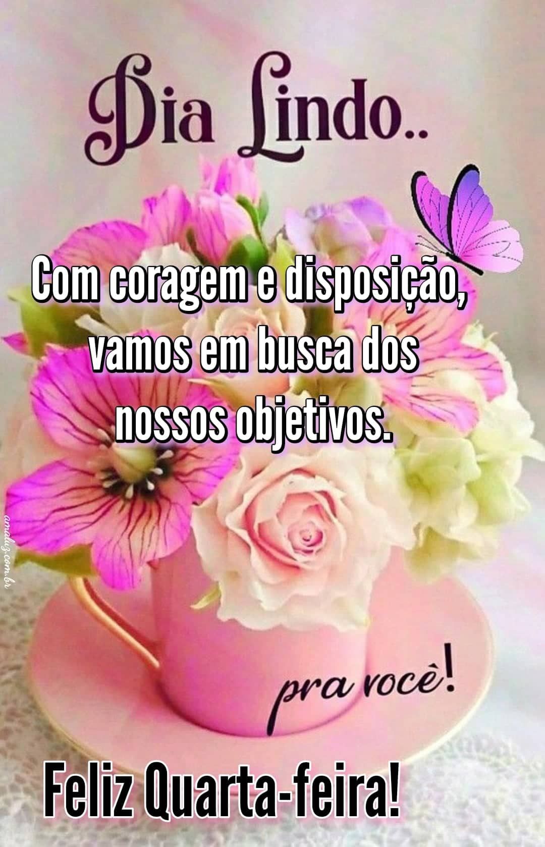 Lindo dia de quarta feira