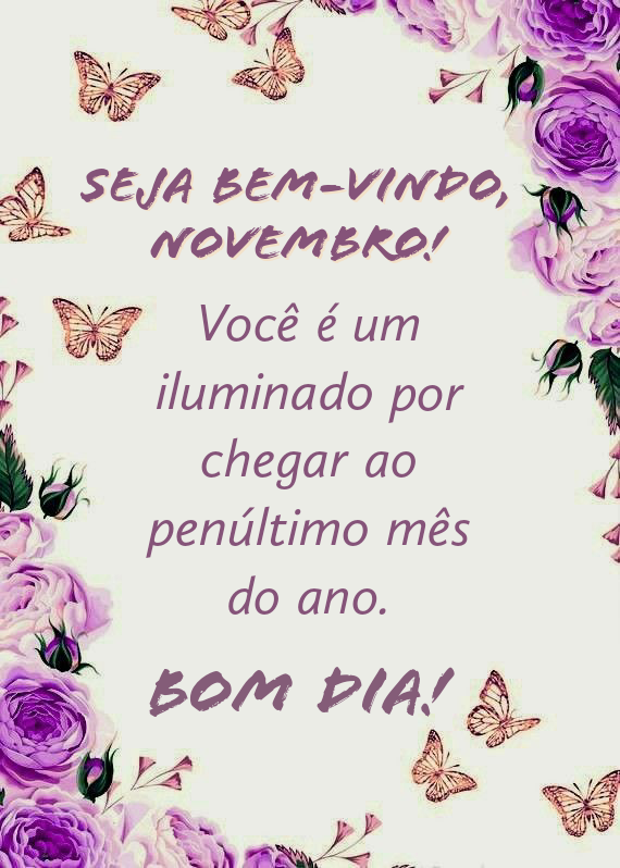Seja bem vindo novembro frases