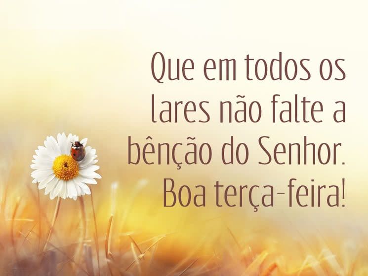 que não falte bençãos do Senhor boa terça feira