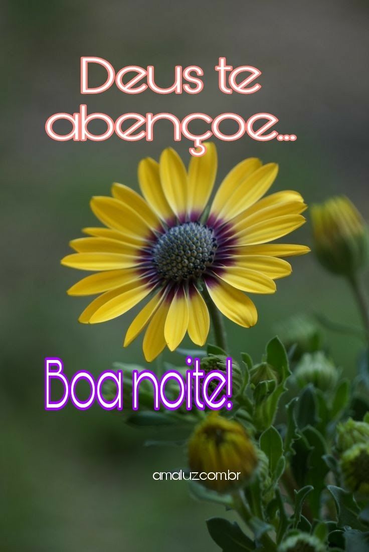 Deus te abençoe. Boa noite.