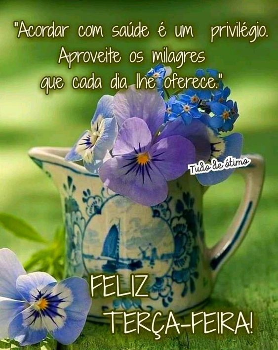 Aproveite os milagres do dia