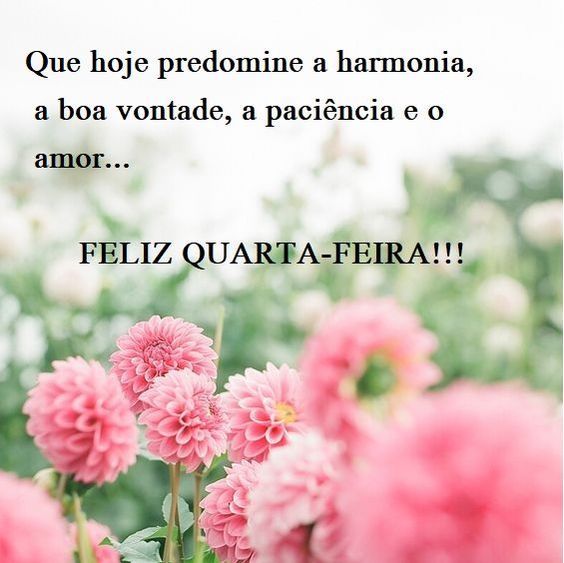 Feliz quarta-feira hoje