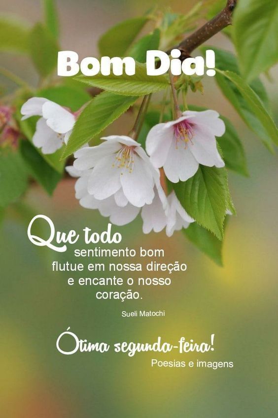 Mensagens de Bom dia Segunda-feira e Feliz Semana Abençoada Mensagens de Bom dia Segunda-feira e Feliz Semana Abençoada