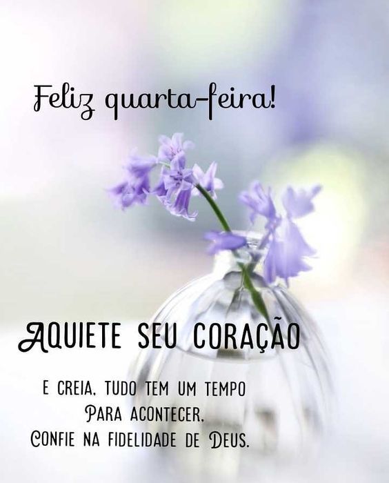 Feliz Quarta-feira aquiete seu coração