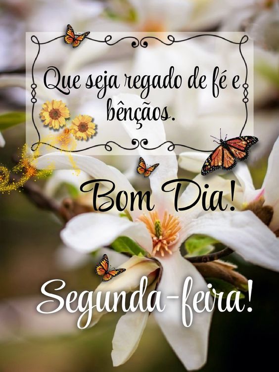 Mensagens De Bom Dia Segunda Feira E Feliz Semana Aben Oada