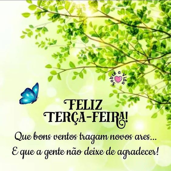Terça-feira bons ventos