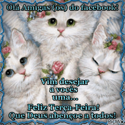 Olá amigas do facebook