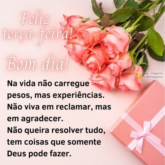 Terça-feira bom dia na vida