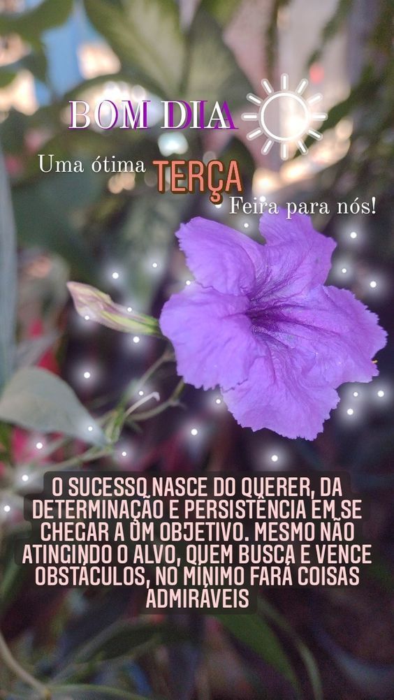 Uma ótima terça-feira para nós