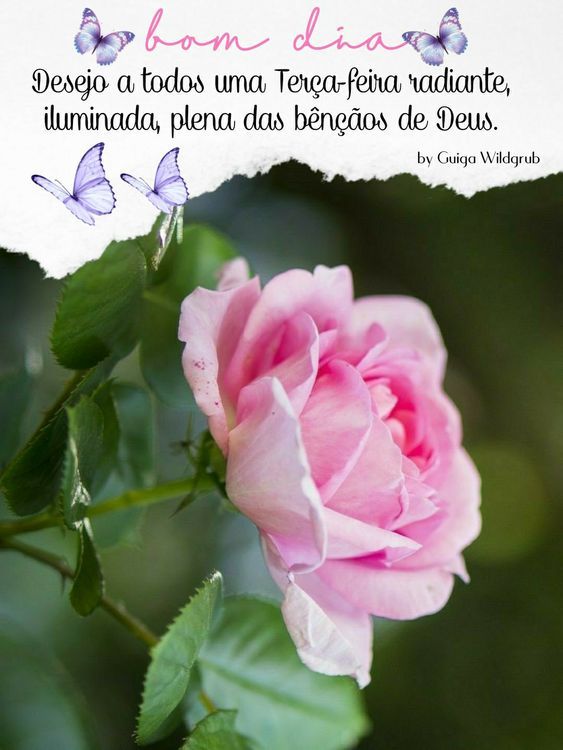 Desejo uma terça-feira radiante