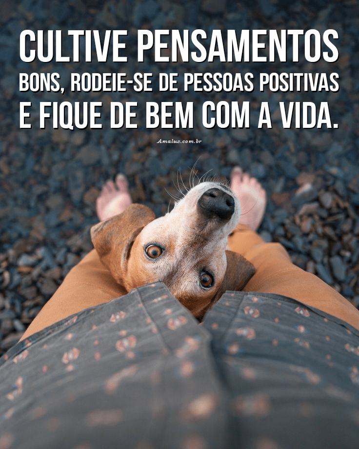 Cultive pensamentos bons