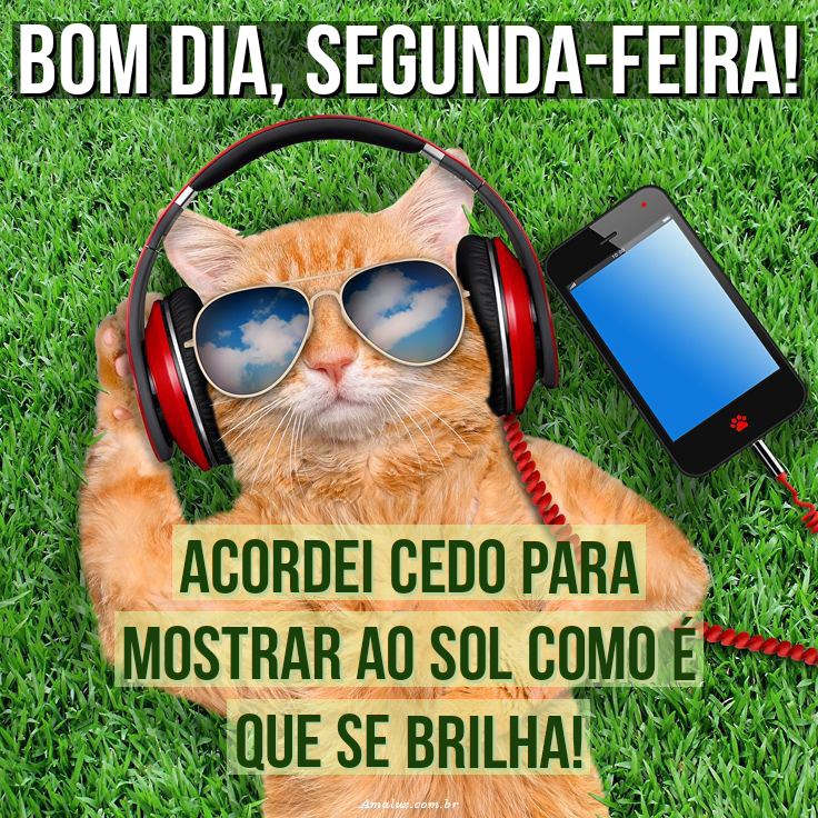 Mensagem com imagens engraçadas de bom dia segunda