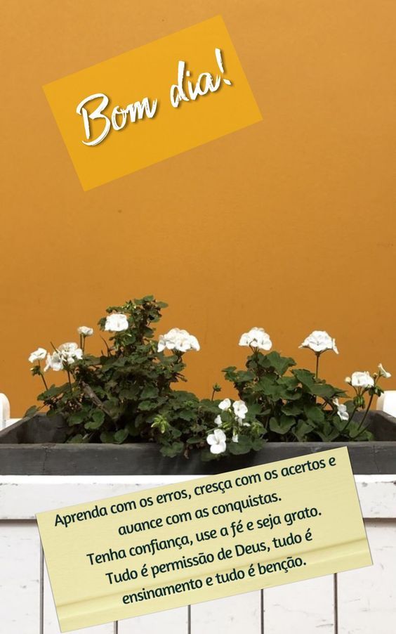 Bom dia reflexão