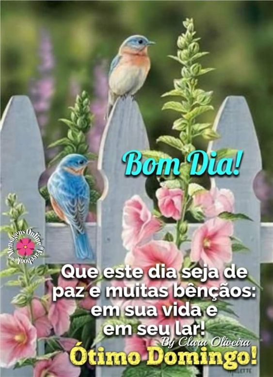 Este dia seja de paz