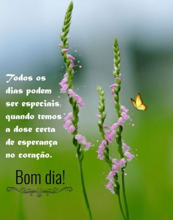 Todos os dias podem ser especiais