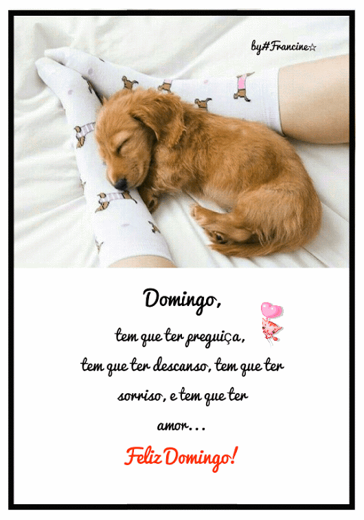 Domingo tem que ter preguiça