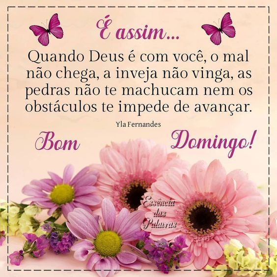 É assim feliz domingo