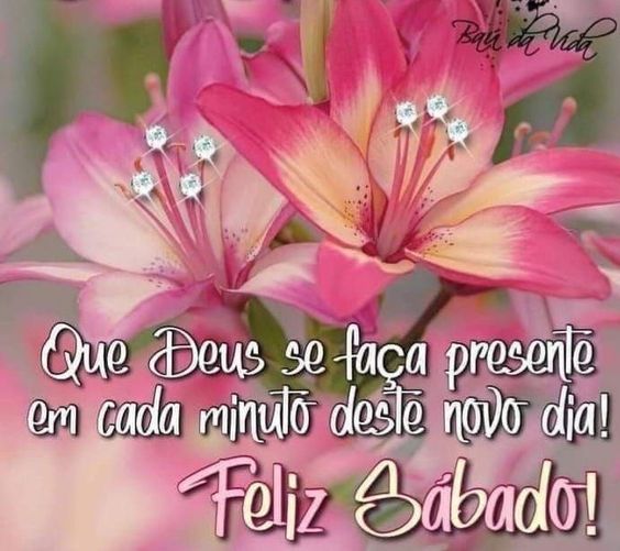 Feliz sábado Deus presente