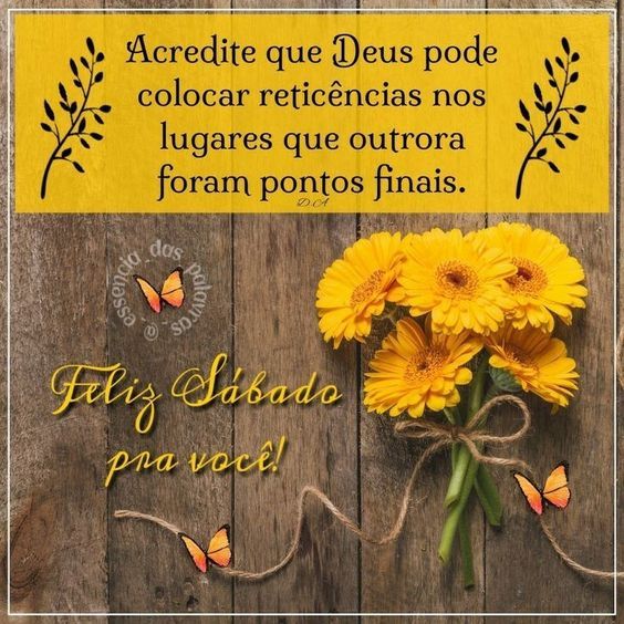 Feliz sábado pra você