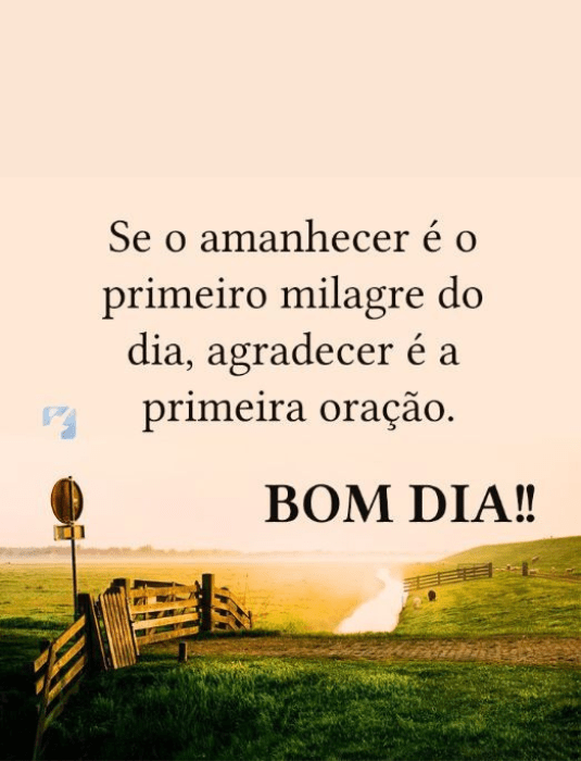 Mensagem de bom dia engraçada para grupos do whatsapp, confira! - Mensagens  Religiosas De Deus