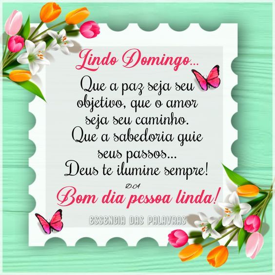 Lindo Domingo bom dia pessoa
