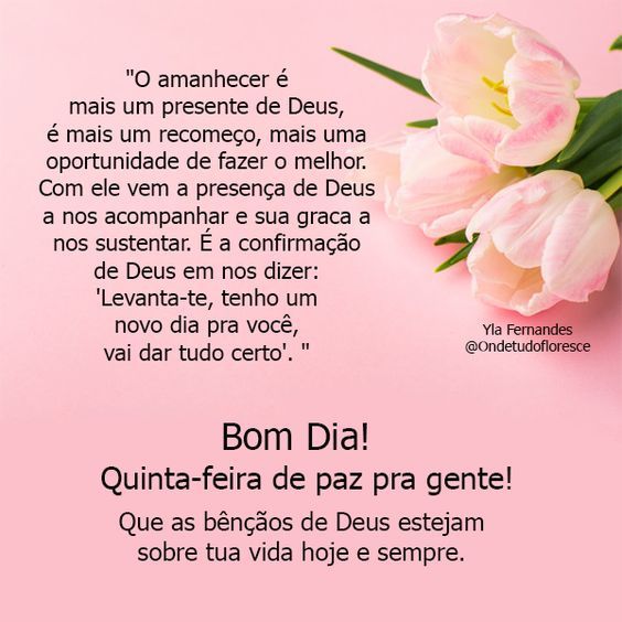 Quinta-feira de paz pra gente