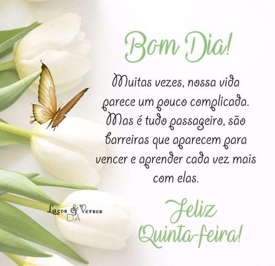 Bom dia muitas vezes
