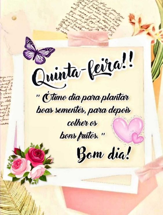 Ótimo dia para plantar sementes